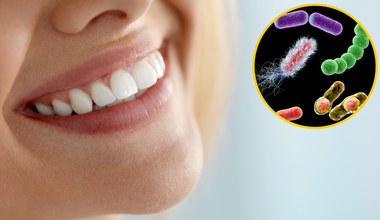 Wiecie, co może pełzać po waszych zębach? Drobnoustroje tworzące „superorganizmy”