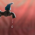 PFAS "Wieczne chemikalia" w niemal każdej próbce ludzkiej krwi