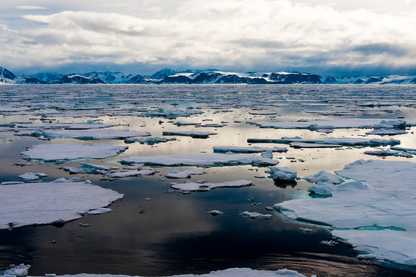 "Wieczne chemikalia" znalezione w Arktyce /123RF/PICSEL