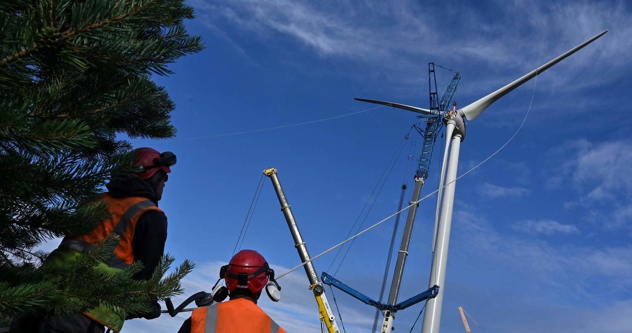 Większa produkcja energii z wiatru to sposób na uniezależnienie naszego kraju od rosyjskich surowców energetycznych /AFP