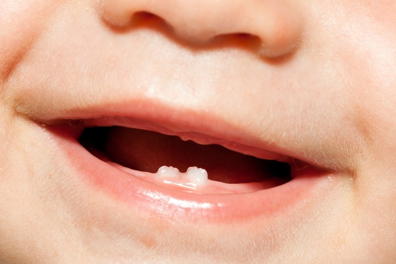 Większość dzieci zaczyna ząbkować około szóstego miesiąca życia /123RF/PICSEL