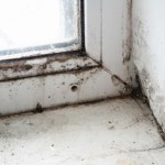 Większość z nas robi to źle. Efekt? Wilgoć i grzyb na ścianach