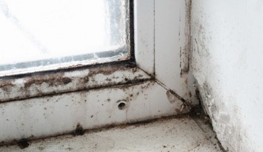 Większość z nas robi to źle. Efekt? Wilgoć i grzyb na ścianach