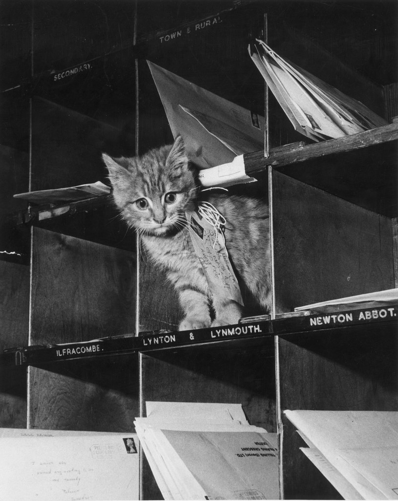 Wiele kotów znajdowało zatrudnienie w urzędach pocztowych /Getty Images/Flash Press Media