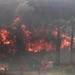 Wiele ofiar potężnych pożarów lasów w Chile