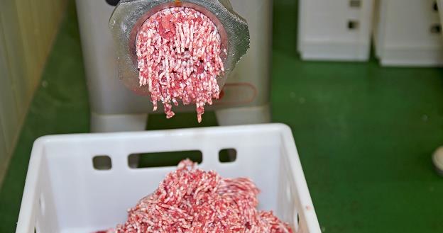 Wielka afera mięsna: Hamburgery wołowe z wieprzowiny /&copy;123RF/PICSEL