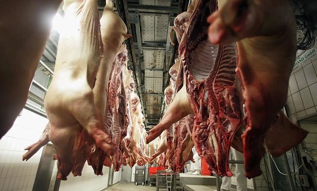 Wielka afera w branży mięsnej w Belgii. Fot. Ralph Orlowski /Getty Images/Flash Press Media