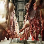 Wielka afera w branży mięsnej w Belgii