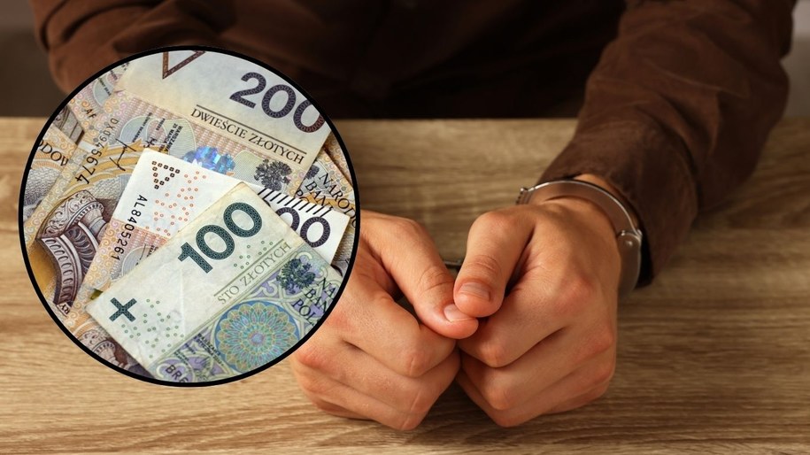 Wielka afera w zakładach mięsnych. Szokujące ustalenia prokuratury (zdjęcie ilustracyjne) /Shutterstock