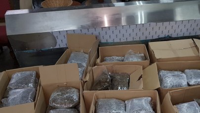 Wielka akcja CBŚP. Policjanci zlikwidowali szlak przemytniczy z Holandii