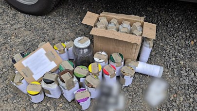 Wielka akcja CBŚP. Ponad 100 funkcjonariuszy w 10 województwach przejęło materiały wybuchowe