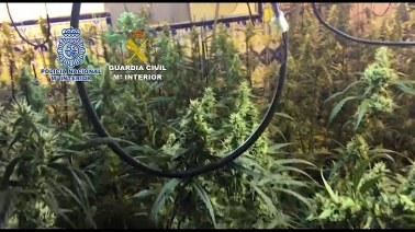 Wielka akcja hiszpańskiej policji. Chińska mafia rozbita