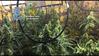 Wielka akcja hiszpańskiej policji. Chińska mafia rozbita