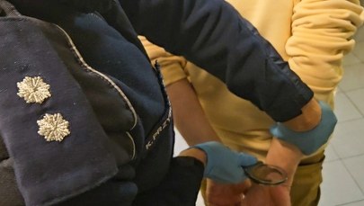 Wielka akcja policji: Ponad 1700 zatrzymanych