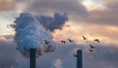 Wielka bitwa o system ETS. Polska zbiera sojuszników w UE