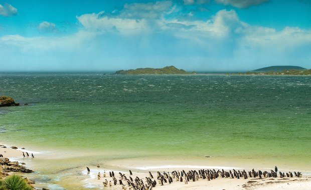 Wielka Brytania oddała wyspy Czagos. Argentyna upomina się o Falklandy