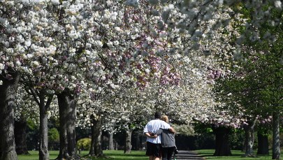 Wielka Brytania: W ciągu doby z powodu koronawirusa zmarło 761 osób