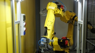 Wielka Brytania: Z powodu Brexitu zagranicznych pracowników mogą zastąpić… roboty