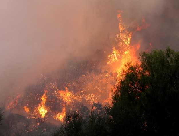 Wielka ewakuacja w Kalifornii. W pożarze zostało uwięzionych dziesiątki osób /	ADAM DAVIS /PAP/EPA