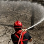 Wielka fala pożarów zagraża mieszkańcom Marsylii. Co najmniej 8 osób rannych