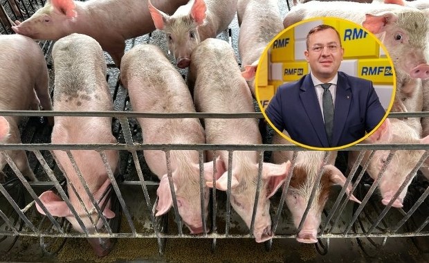 Wielka kara dla rolnika za odór z chlewni. Jest deklaracja ministra ws. zapłaty