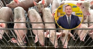 Wielka kara dla rolnika za odór z chlewni. Jest deklaracja ministra ws. zapłaty