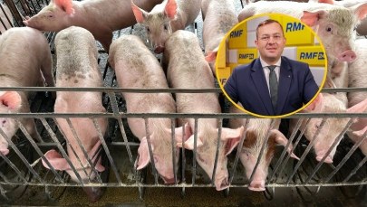 Wielka kara dla rolnika za odór z chlewni. Jest deklaracja ministra ws. zapłaty