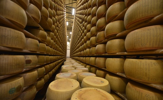 Wielka kradzież parmezanu we Włoszech. Złodzieje wynieśli ser wart fortunę