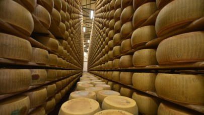 Wielka kradzież parmezanu we Włoszech. Złodzieje wynieśli ser wart fortunę