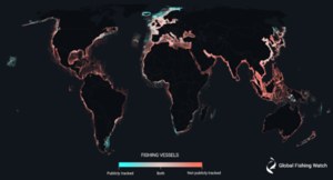 Wielka kradzież w oceanach. "Mroczne statki" łowią na obszarach chronionych