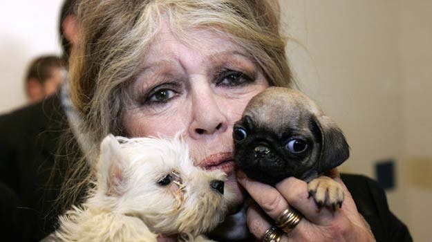 Wielka miłośniczka psów - Brigitte Bardot /AFP