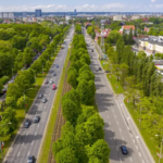 Wielka przycinka Wielkiej Alei Lipowej w Gdańsku