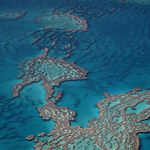 Wielka Rafa Koralowa nie trafi na listę obiektów zagrożonych 