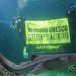 Wielka Rafa Koralowa zagrożona. ONZ ostrzega