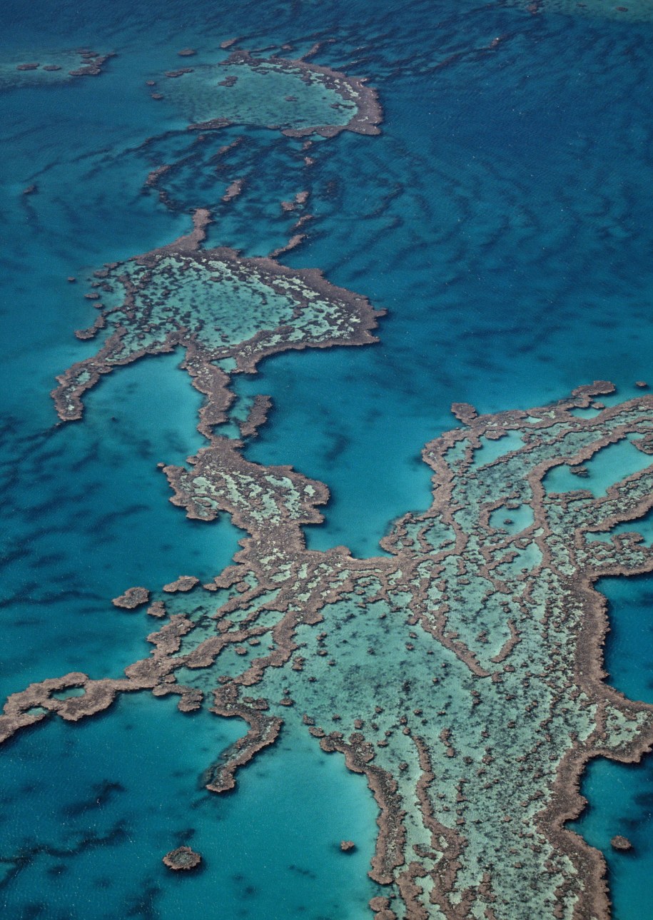 Wielka Rafa Koralowa /	Holger Leue /PAP/DPA