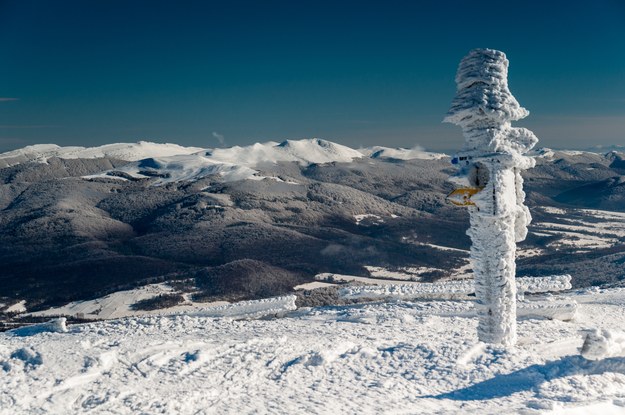 Wielka Rawka, najwyższy szczyt pasma granicznego w Bieszczadach Zachodnich. /Shutterstock