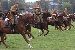 Wielka Rewia Kawaleryjska w Krakowie