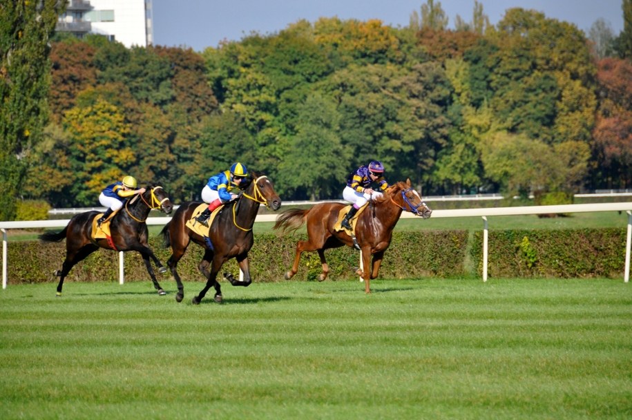 Wielka Warszawska na zdjęciu z października 2014 roku /Tricolors /East News