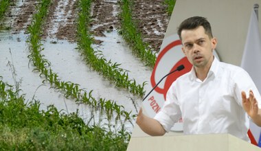 Wielka woda zniszczy uprawy? Michał Kołodziejczak: Nie zostawiamy rolników bez pomocy