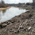 Wielka wycinka drzew na granicy z Białorusią 