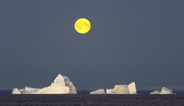 Wielka wyprawa do serca Arktyki. Roboty zbadają dno oceanu