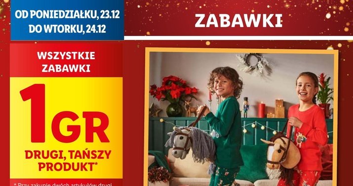 Wielka wyprzedaż w Lidlu ruszyła! Za wymarzoną zabawkę zapłacisz 1 grosz! /Lidl /INTERIA.PL