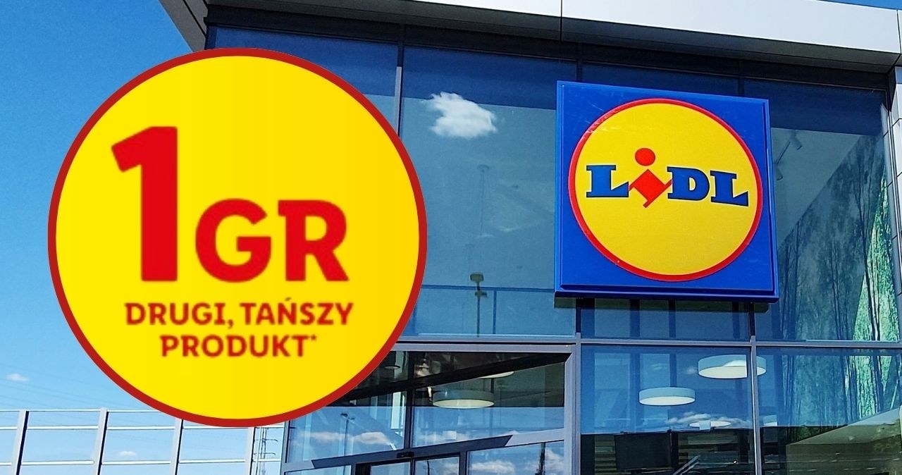 Wielka wyprzedaż w Lidlu ruszyła! Za wymarzoną zabawkę zapłacisz 1 grosz! /adobestock/Lidl /INTERIA.PL