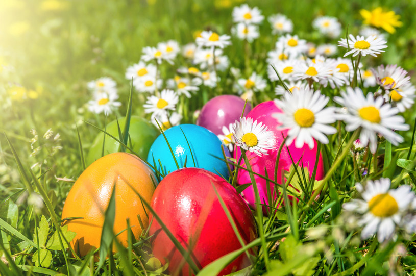 Wielkanoc to okres radości, budzenia do życia i wzrostu /123RF/PICSEL
