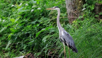 Wielkanoc z widokiem na park… narodowy