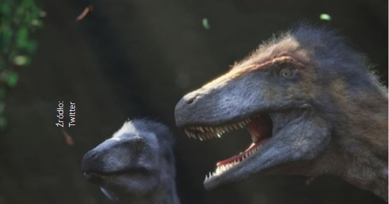 Wielki, drapieżny dinozaur z Argentyny. "Wysokość sięgającą trzech pięter"