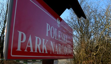 Wielki hałas nad rozlewiskami. Żurawie mają duży problem