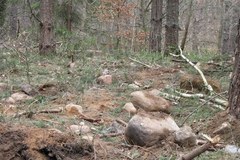 Wielki lej w lesie koło Sulęczyna na Kaszubach