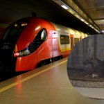 pociąg Wielki łoś zablokował ruch kolejowy. Położył się na torach w Warszawie