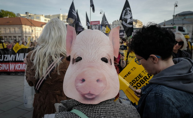 Wielki Marsz dla zwierząt. "Stop łańcuchom"